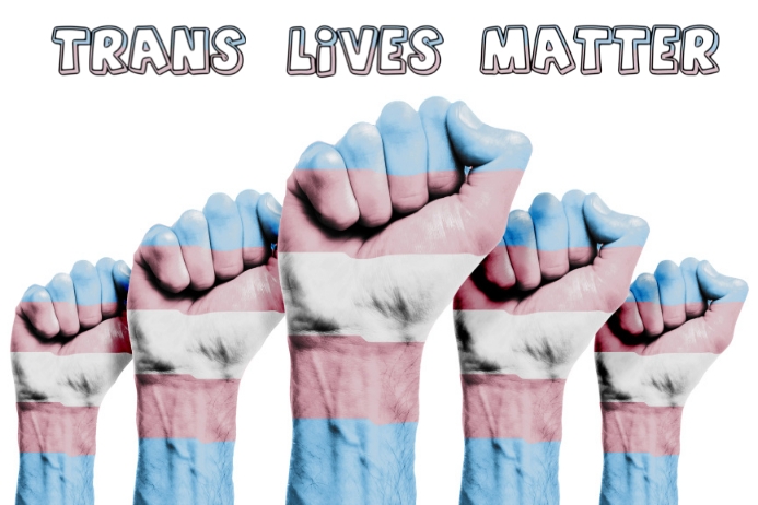 Trans pride Template | PosterMyWall