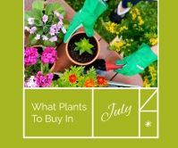transplanting Flowers at Home Large Rectangle Großes Rechteck template