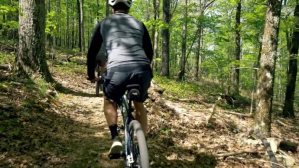 Travel in forest By CyCle YouTube-miniature template