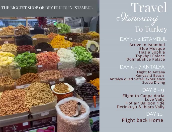 TRAVEL ITINERARY TEMPLATE | PosterMyWall