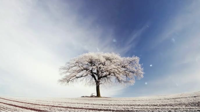 Tree ane Snowing,The wind is blowing YouTube 缩略图 template