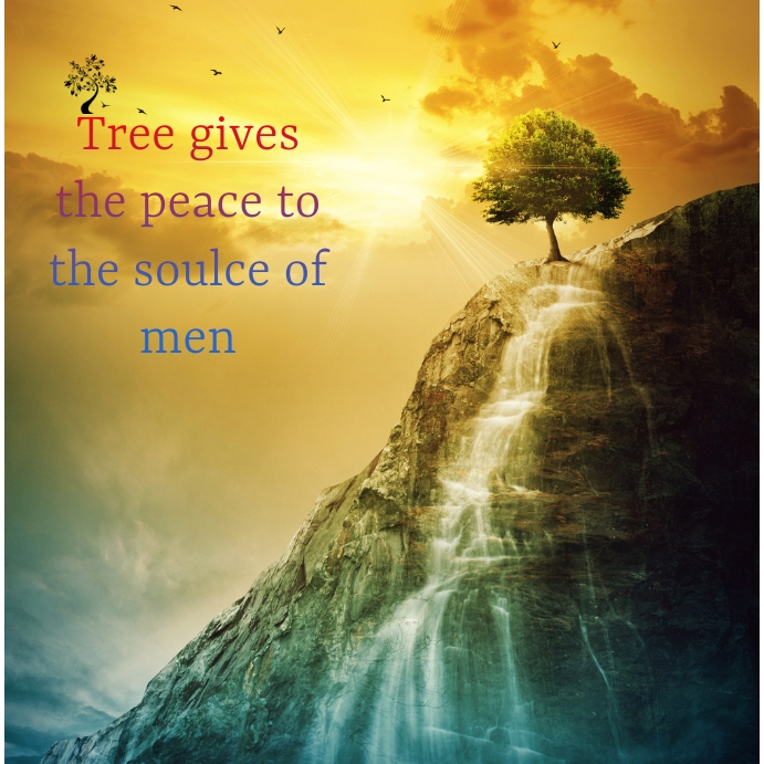 Tree gives the peace to the soulce of men Template | PosterMyWall