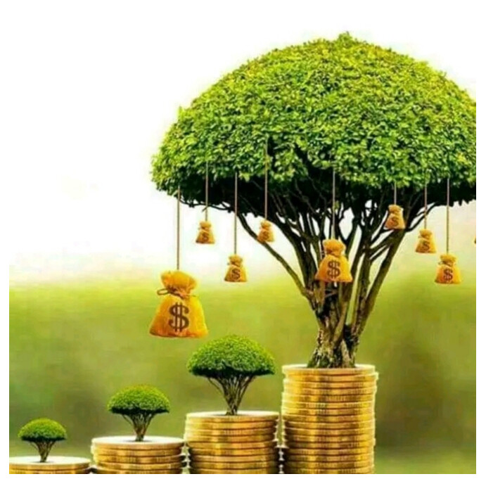 Tree growing on coin Instagram Post template
