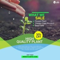 Tree Plant Sale Post Iphosti le-Instagram template