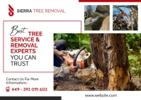 Trees removal services postcard advertisement Cartolina template