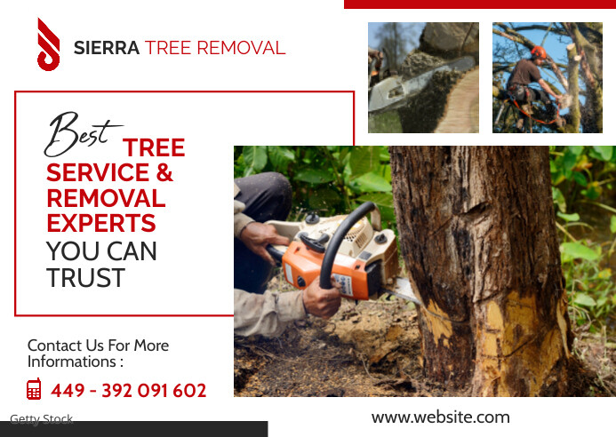 Trees removal services postcard advertisement Template | PosterMyWall