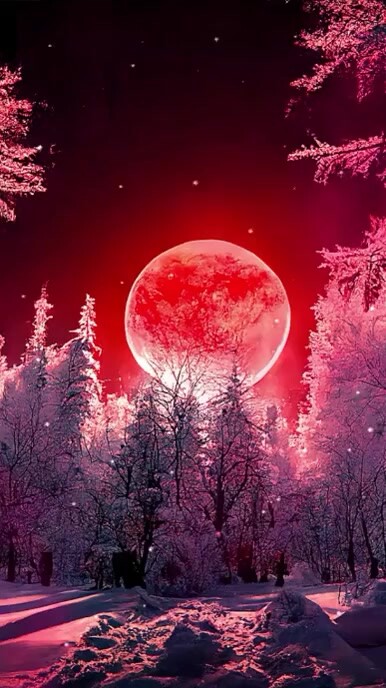 trees snow moon background video template