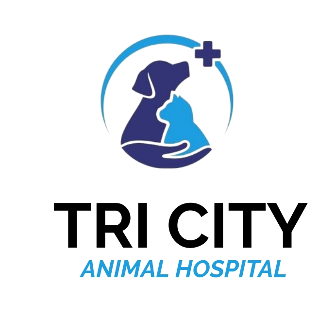 TRI CITY Logo template