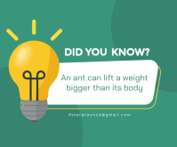 Turquoise Fun Fact Средний прямоугольник Template