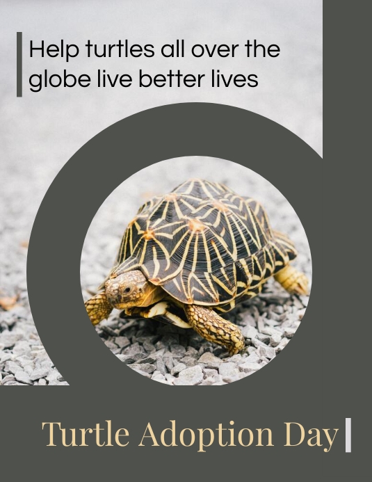 Turtle Adoption Day Template PosterMyWall