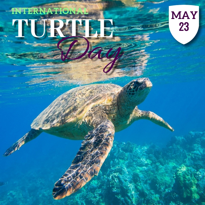 Turtle Day Off TURTLE DAY Template | PosterMyWall