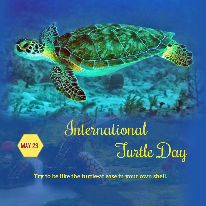 turtle day Template PosterMyWall