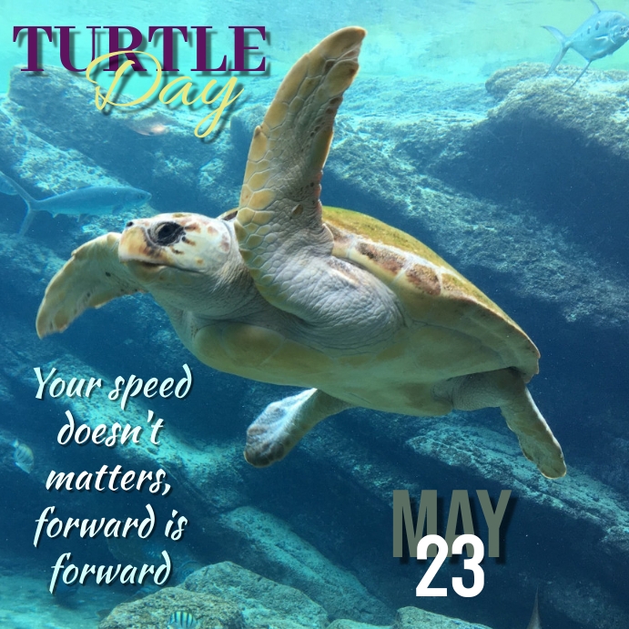 Turtle Day Off TURTLE DAY Template | PosterMyWall