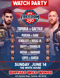 UFC Freedom 250 White House Watch Party Flyer (US Letter) template