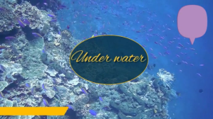 under water Digitalt display (16:9) template