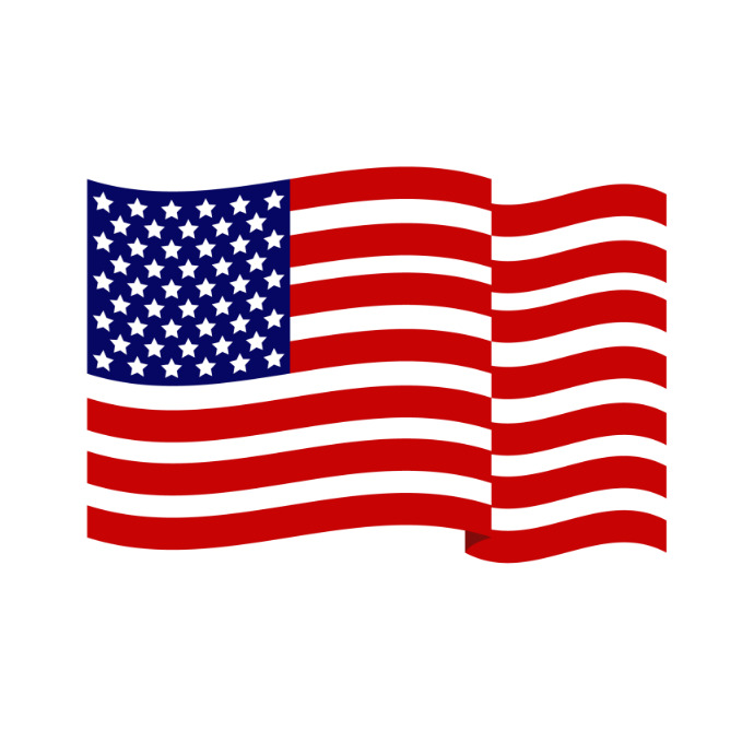 United states flag Logo template