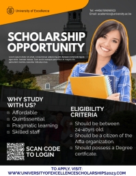 UNIVERSITY SCHOLARSHIP 2023 AD FLYER TEMPLATE | PosterMyWall