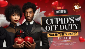 Valentine's Party Blogkop template