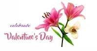 Valentine’s FB animation Facebook-evenementomslag template