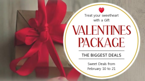 Valentines Package Deal  Digital Display Template