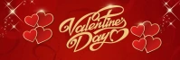 Valentines Party Banner de LinkedIn template