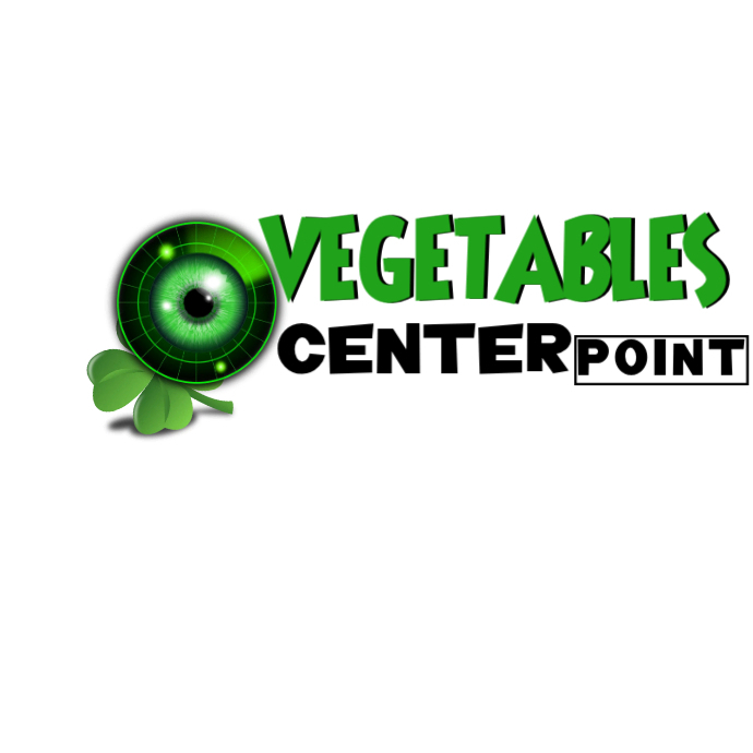 Center Point Logo