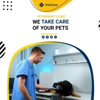 vet clinic Instagram na Post template