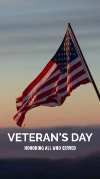 VETERAN'S DAY Instagram Story template