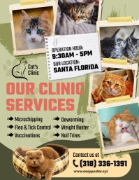 Veterinar Clinic Services Flyer template