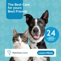 veterinary clinic pets health advertising Сообщение Instagram template