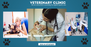 veterinary clinic services offer on blue ad Anuncio de Facebook template