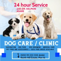 Vetinary dog care poster Square (1:1) template
