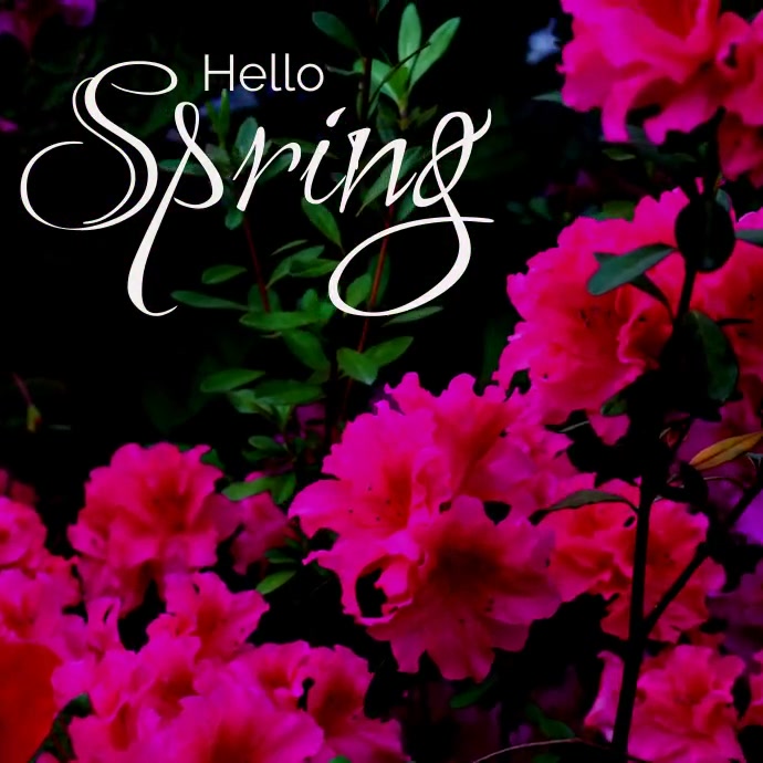 Video template spring | PosterMyWall