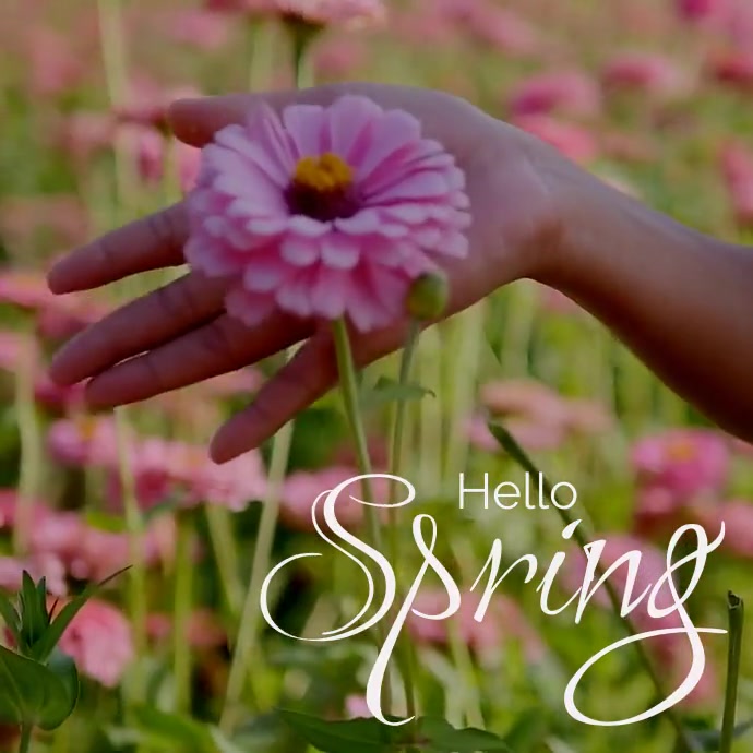Video template spring | PosterMyWall