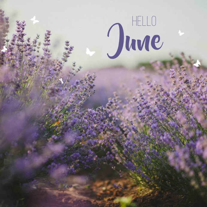 Violet Simple Post Hello June Template | PosterMyWall