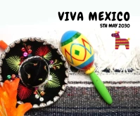 Viva Mexico pinata Facebook Post 中矩形广告 template