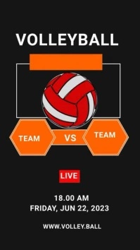 Volleyball Instagram Story template