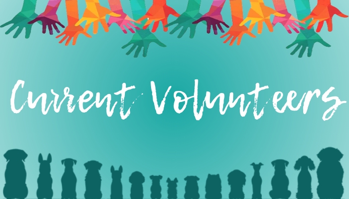 Volunteer Banner Template PosterMyWall