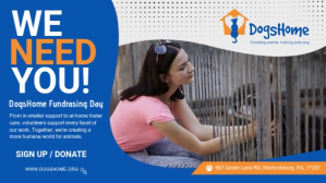 Volunteers Needed Digital Display Video template
