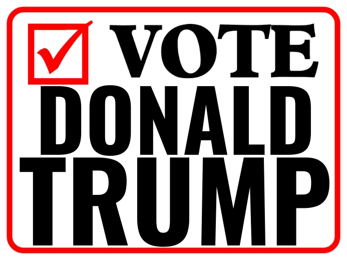 Vote Election Campaign Sign Template | PosterMyWall