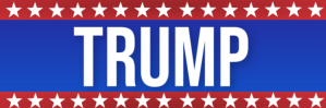 VOTE PRESIDENT TRUMP 2020 Flyer Template Nagłówek wiadomości e-mail