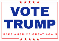 White Political Campaign A1 Template