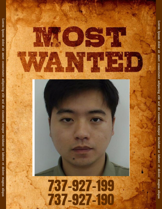 Plantilla de Wanted person report template | PosterMyWall