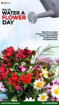 Water a Flower Day Instagram Story template