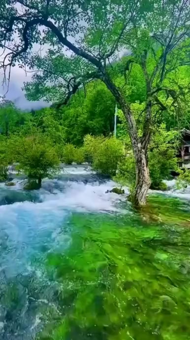 waterfall river cascade background video template