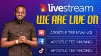 we are live Digital Display (16:9) template