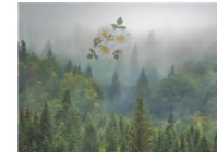 wedding, invitation, anniversary, video intro, boda, photographer, reception Poskaart template