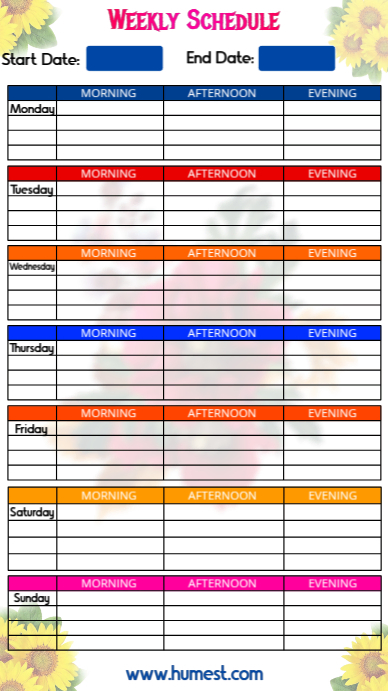 Weekly Schedule Design WhatsApp Status template