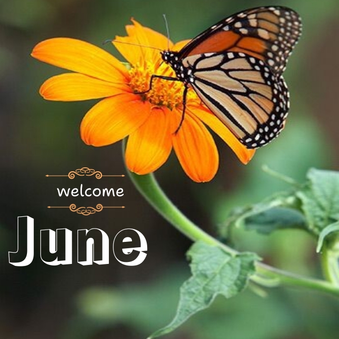 Copy of June 2025 PosterMyWall