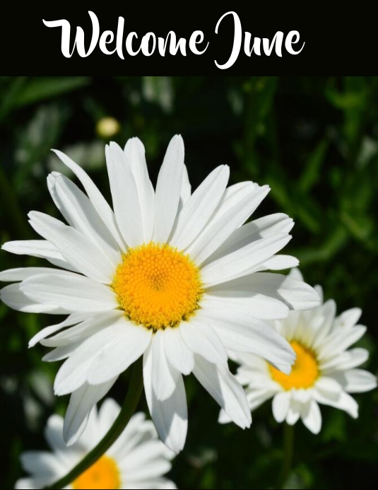 June Welcome Slides Plantilla de welcome june | PosterMyWall